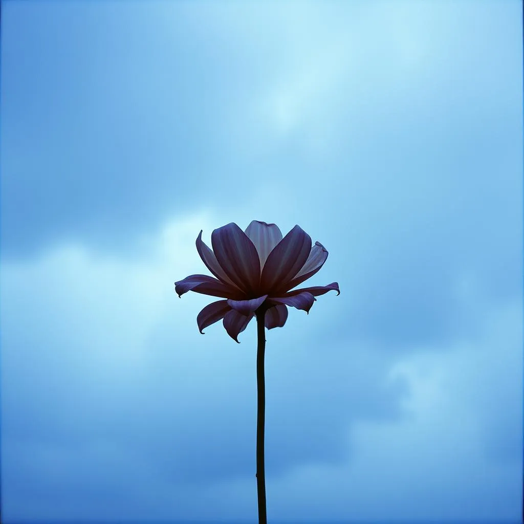 I Feel So Alone Now