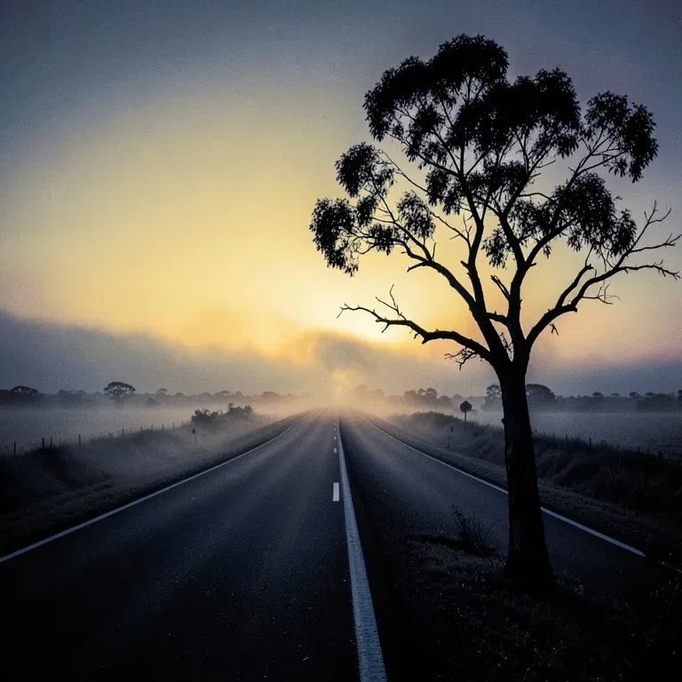 Bruce Highway Run