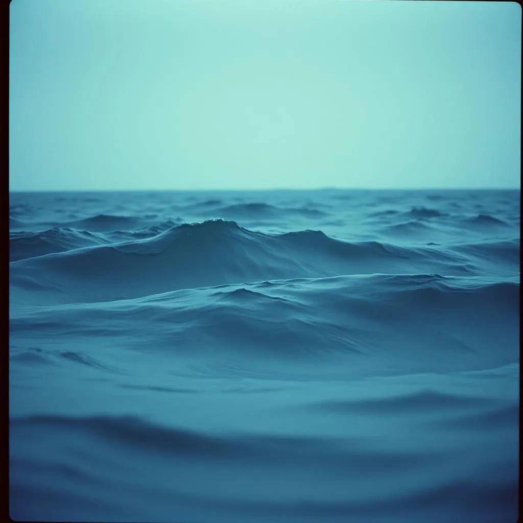Voices in the Flood