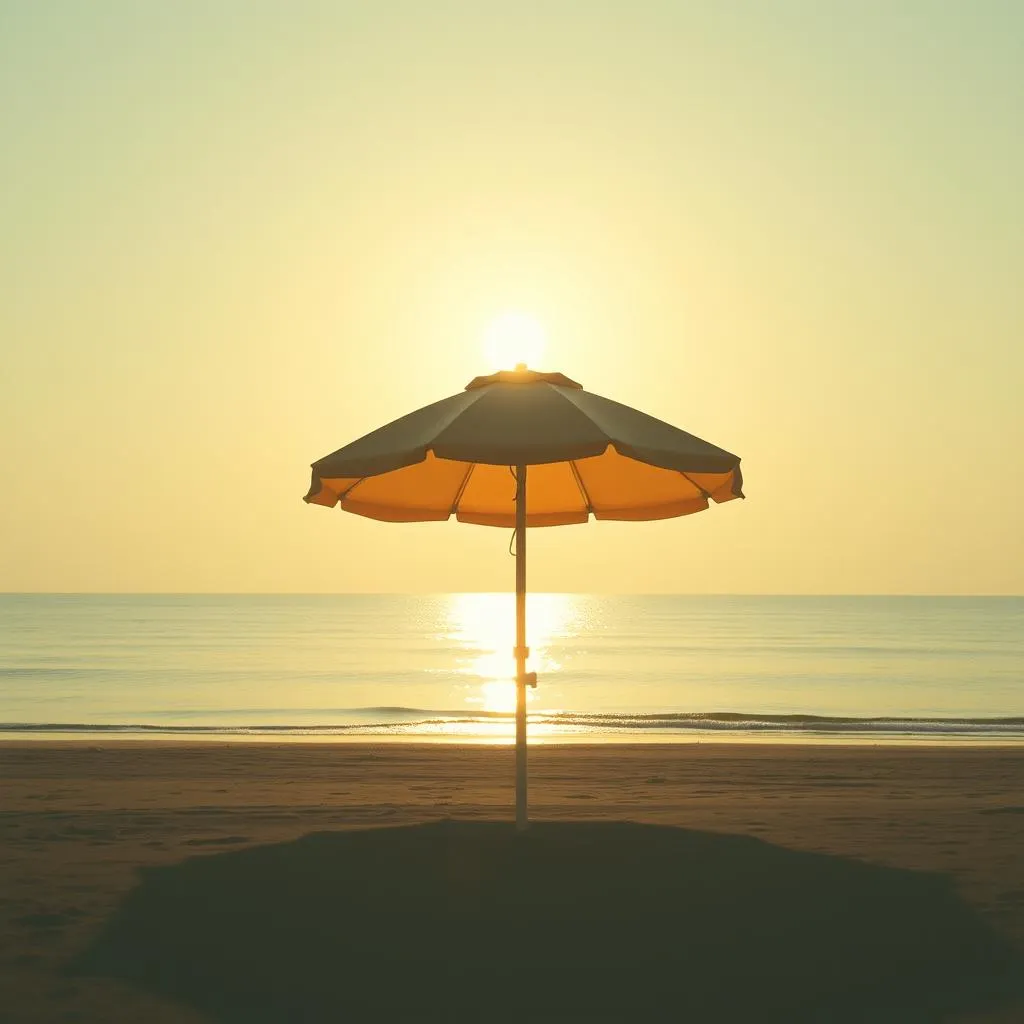 Sous Le Soleil Dérangé