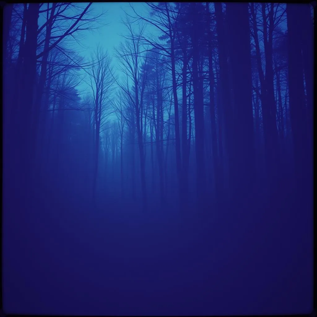 Lost in the Silence