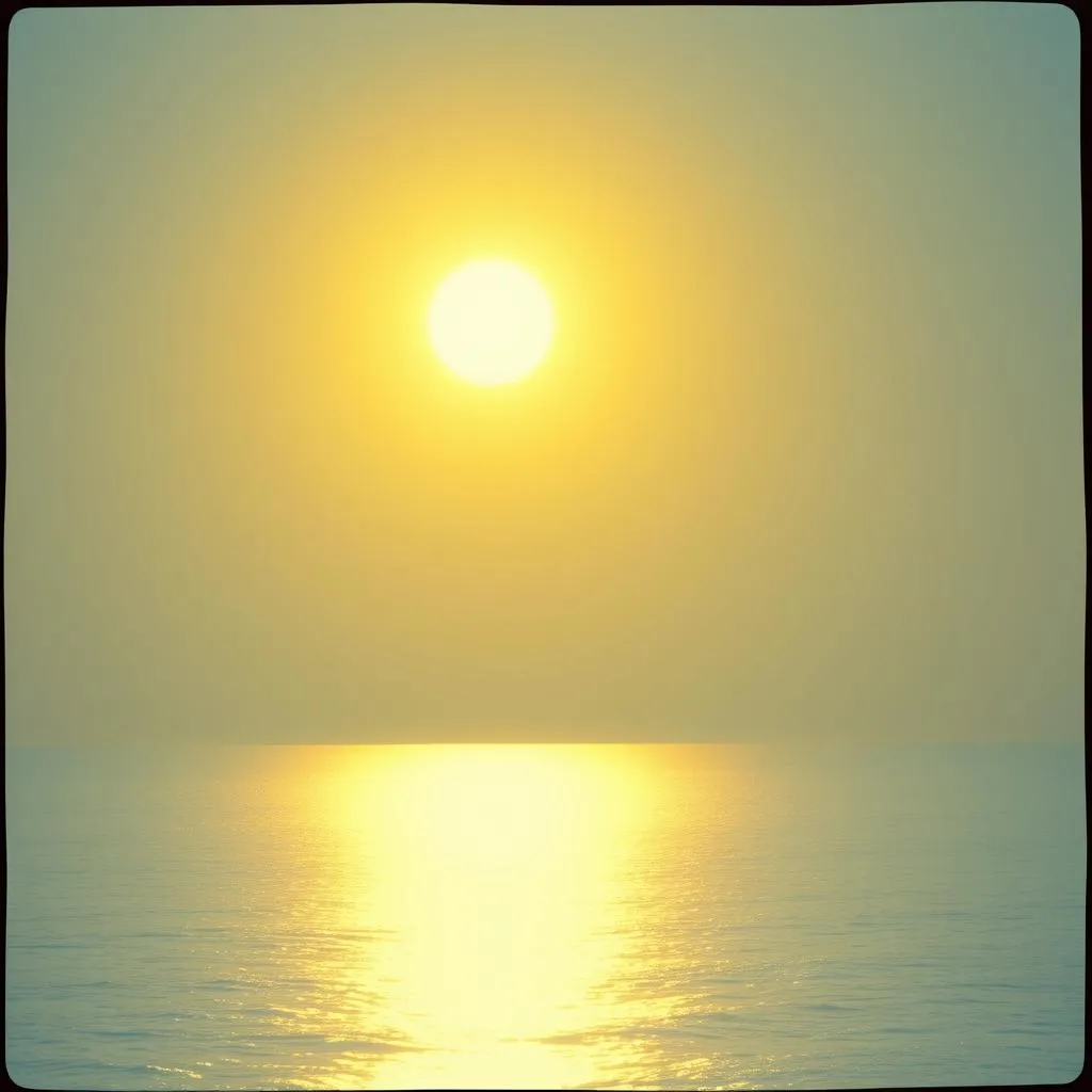 Shine