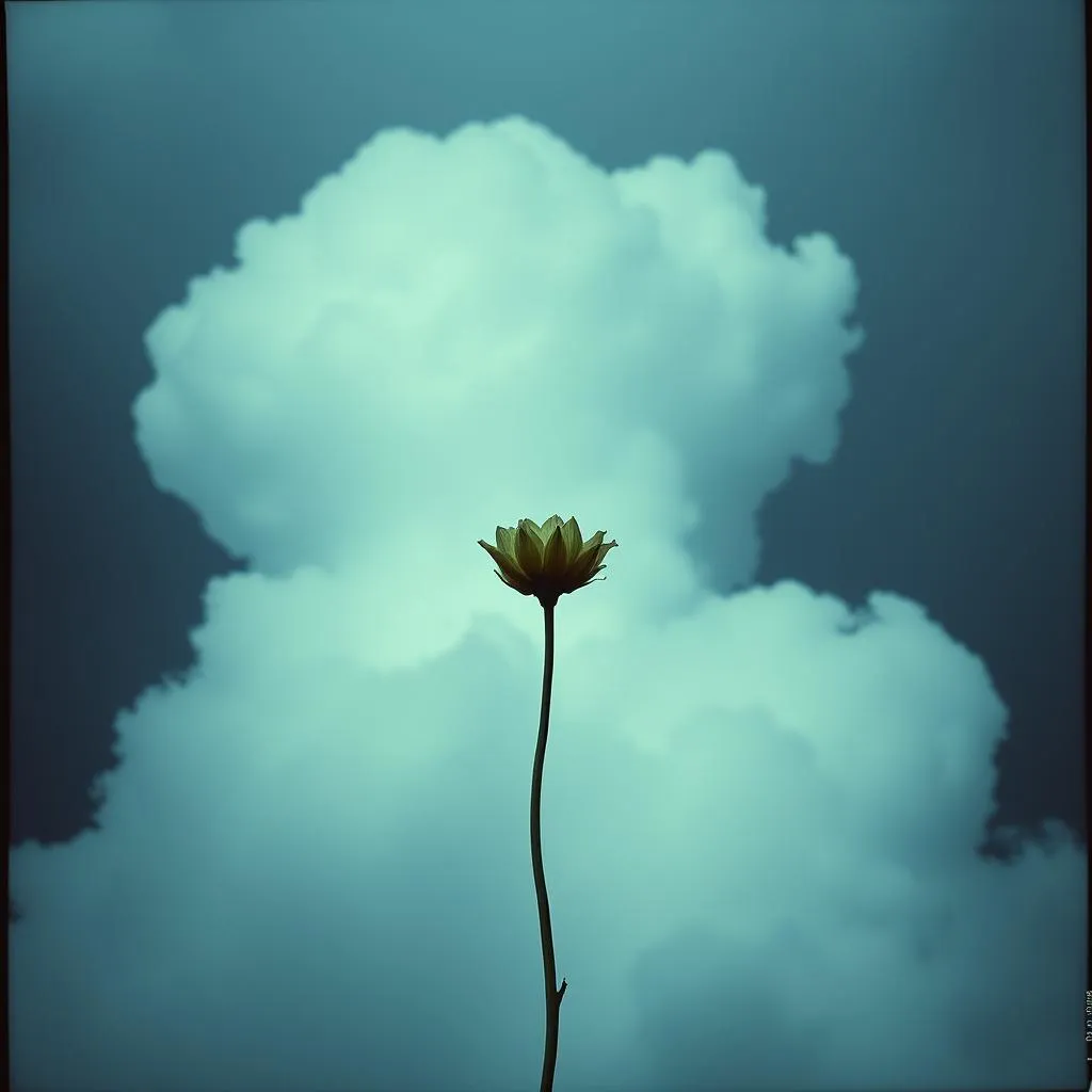 Whispers In The Night