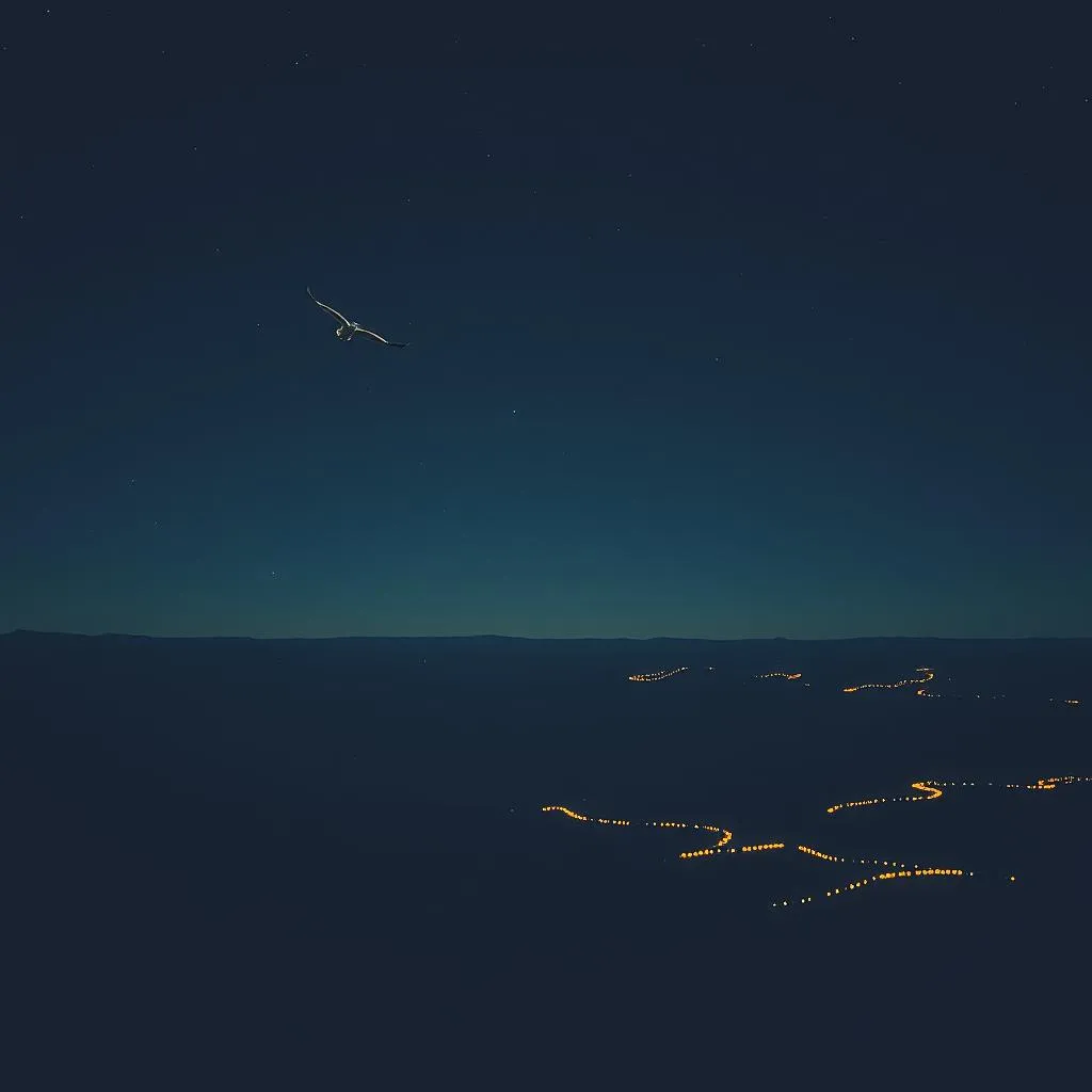 Skyward Journey