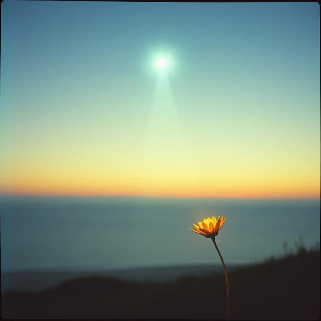 A light that shine too soon