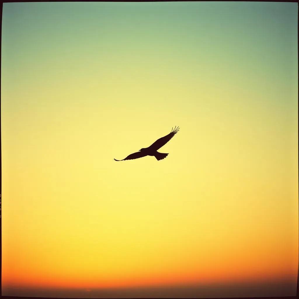 Flying With One Broken wing