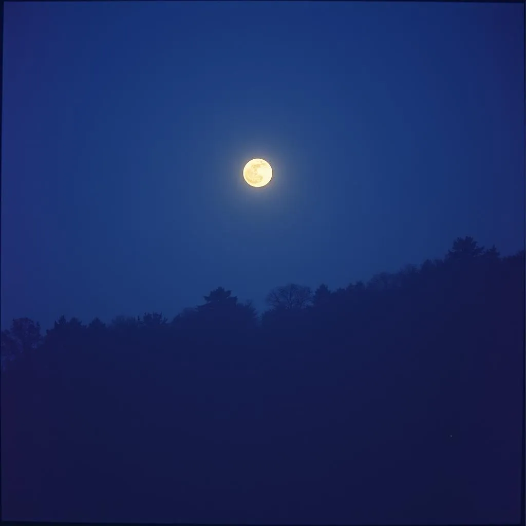 Late Night Echoes
