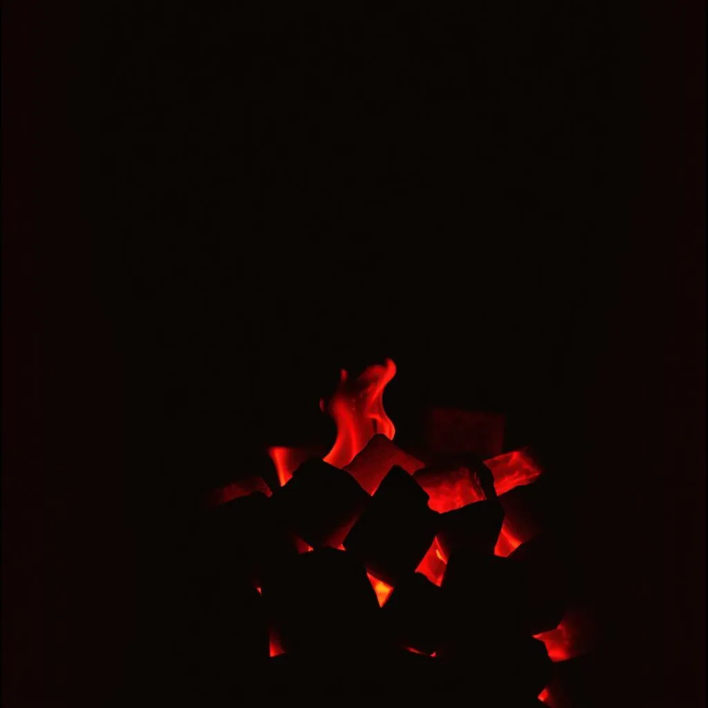 Burnt