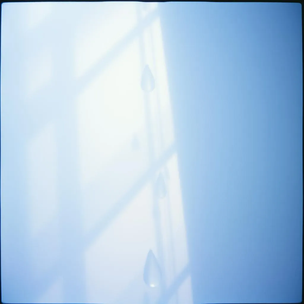 눈물의 그림자 (Shadow of Tears)