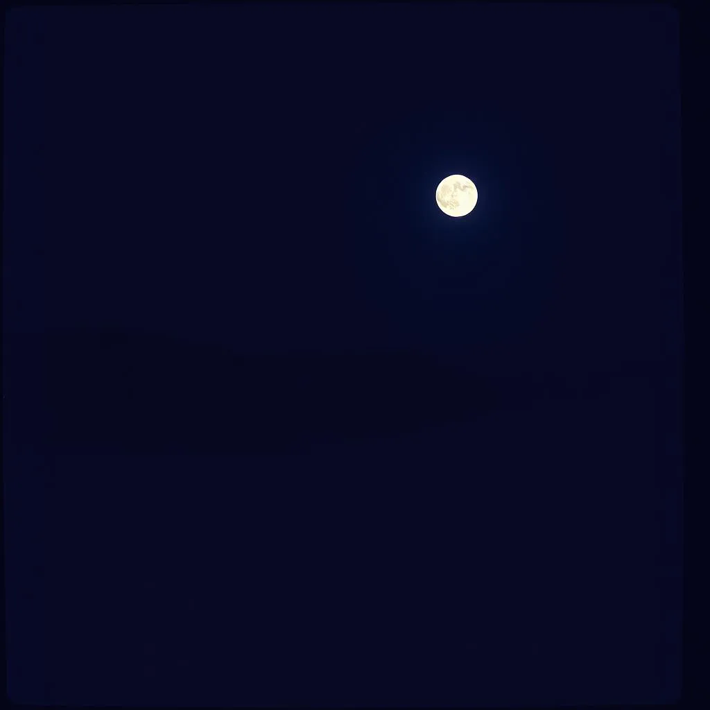 Midnight left me behind