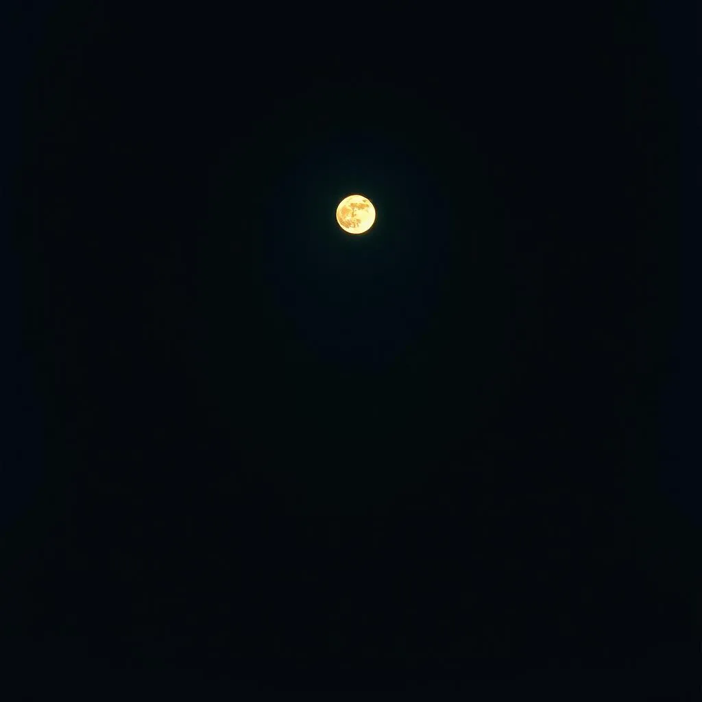 Through the Night
