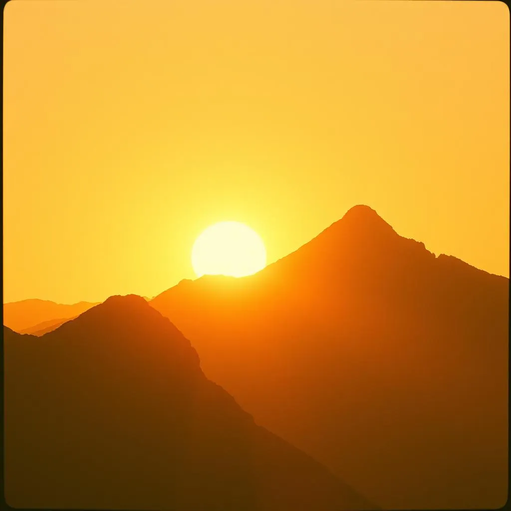 Rise From the Fire