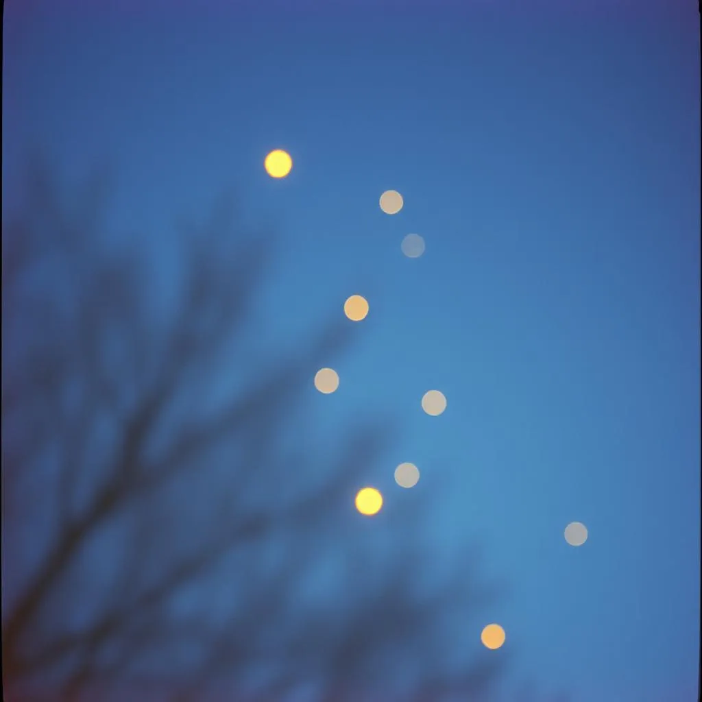 Love Like Fireflies