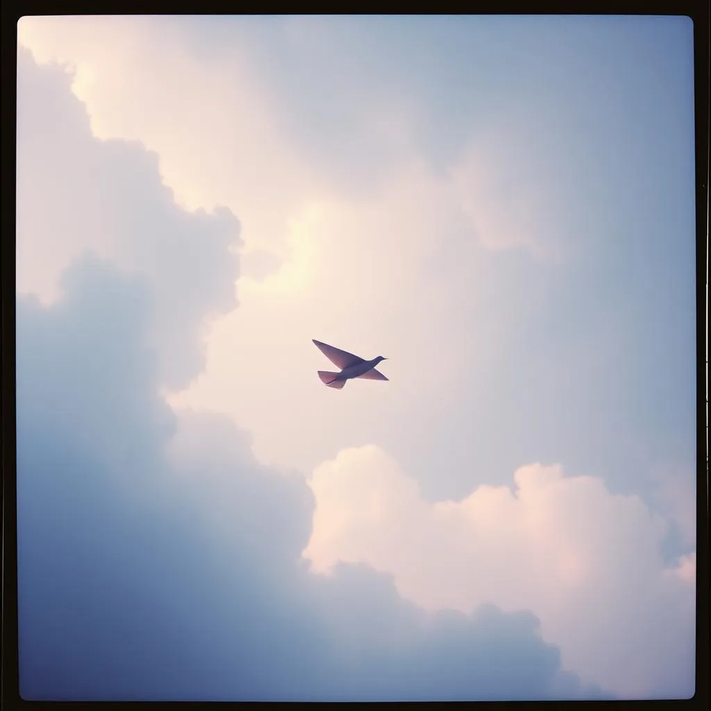 Paper Wings