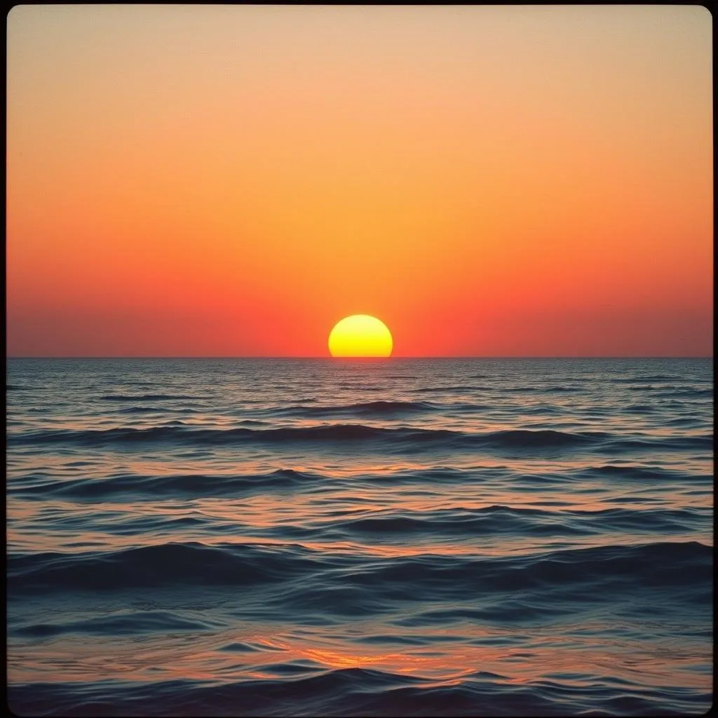 Calypso light tonight