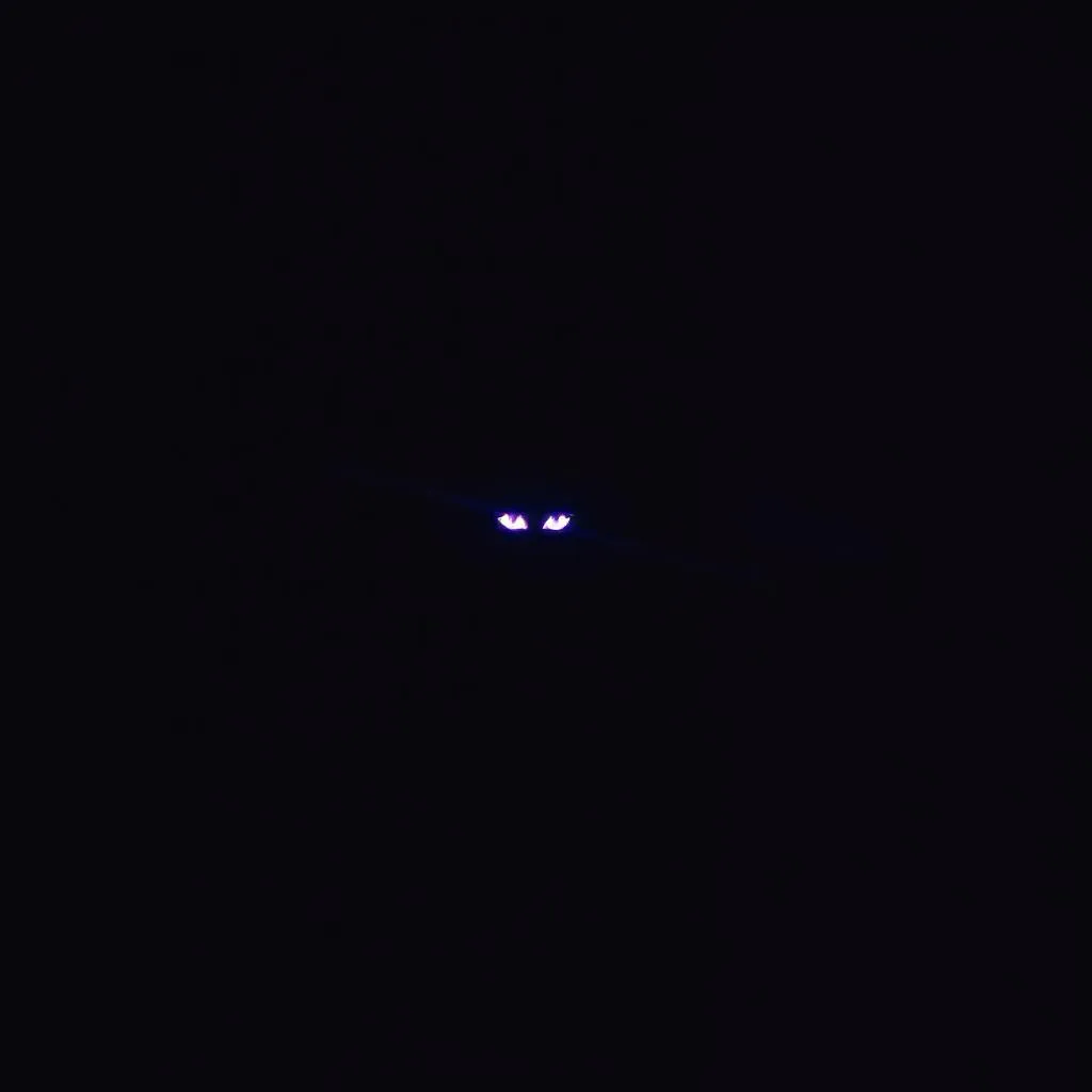 Stalking