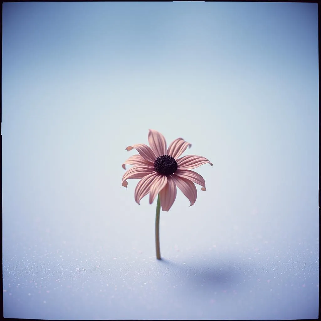 Crystalline and Paper-thin