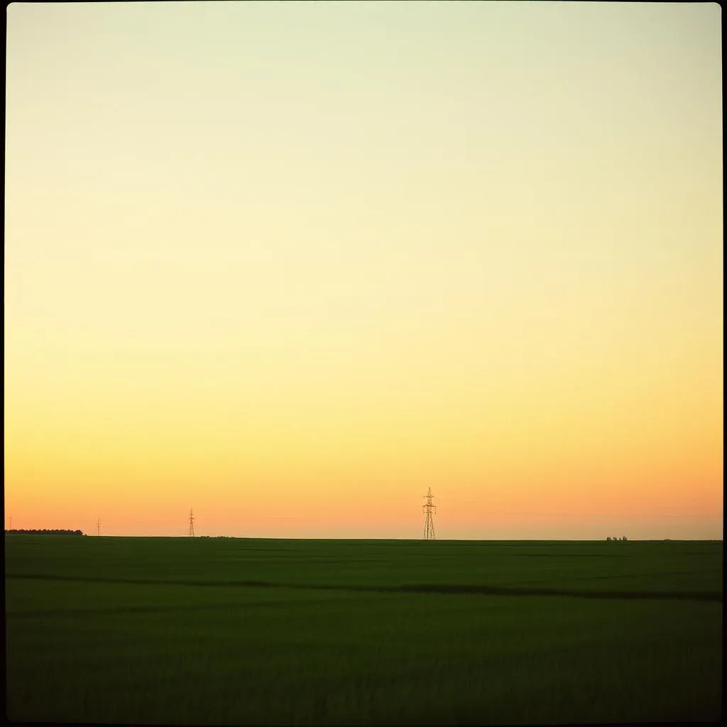 Sunset Reverie