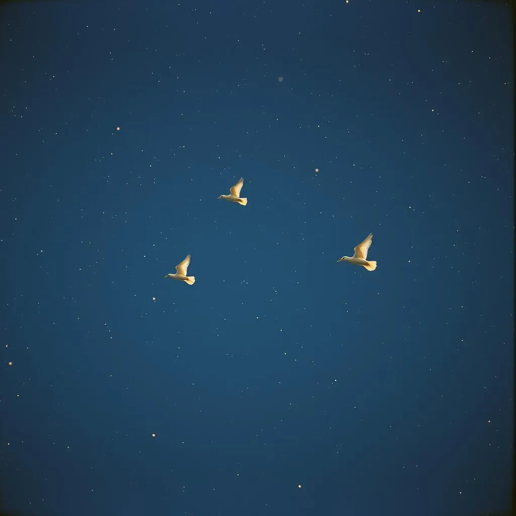 Guided by Angels
