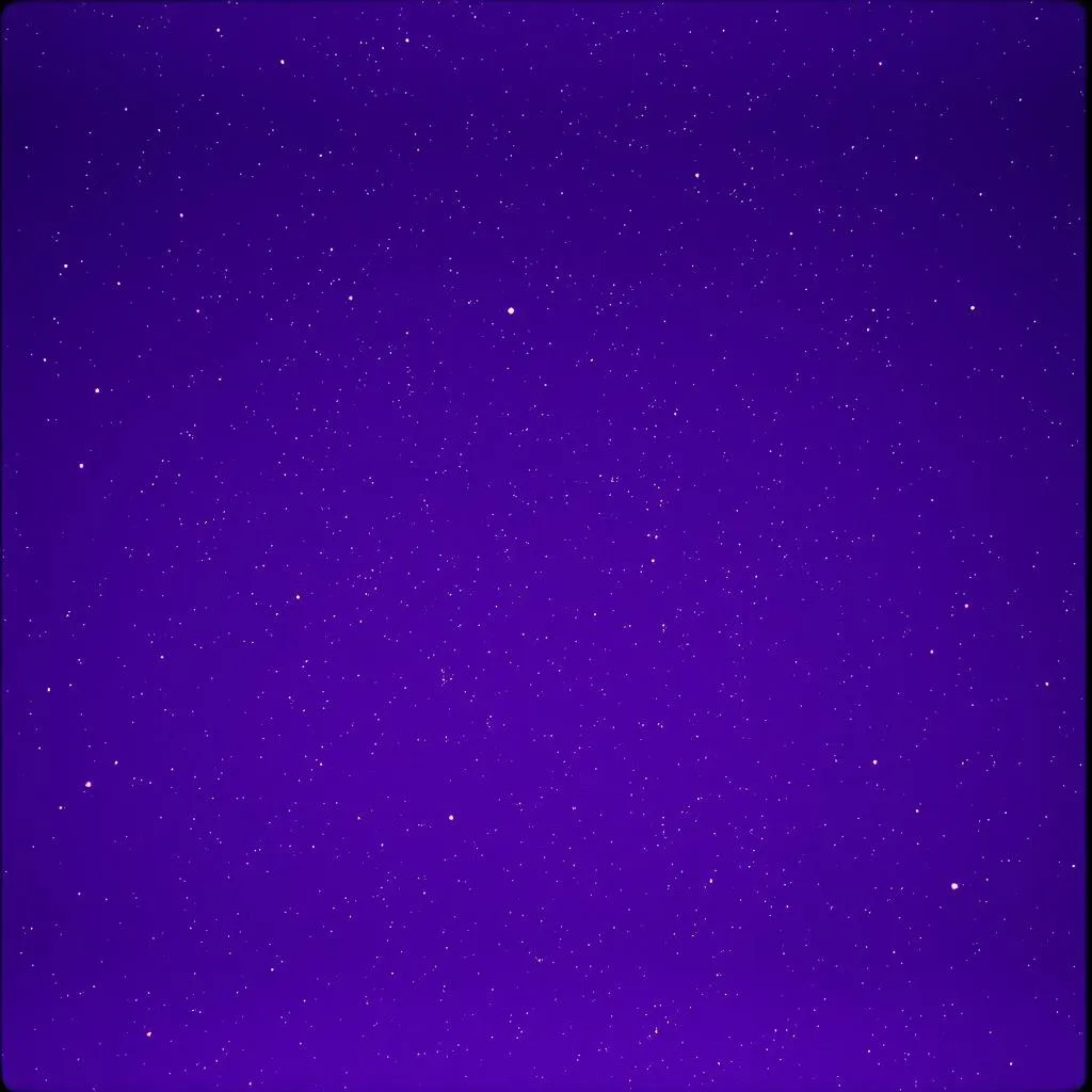 أنيج مشاهير