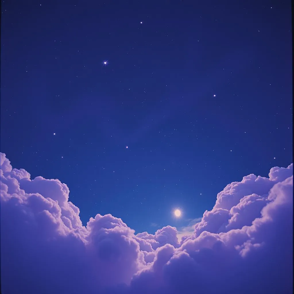 Velvet Night