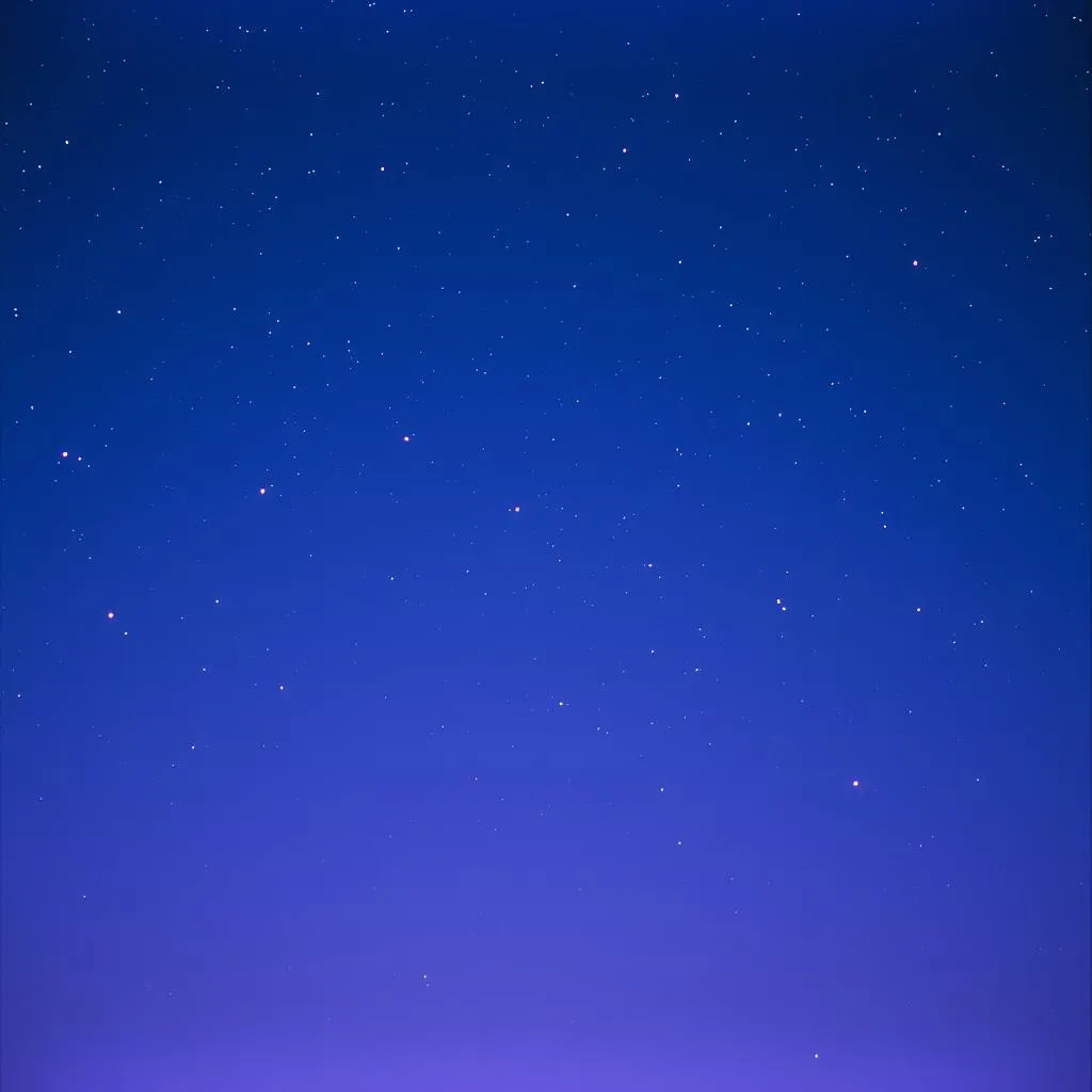 Stars Before Us