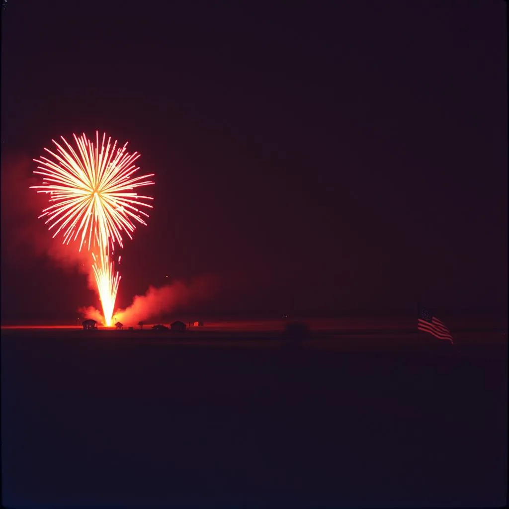Freedom's Fireworks