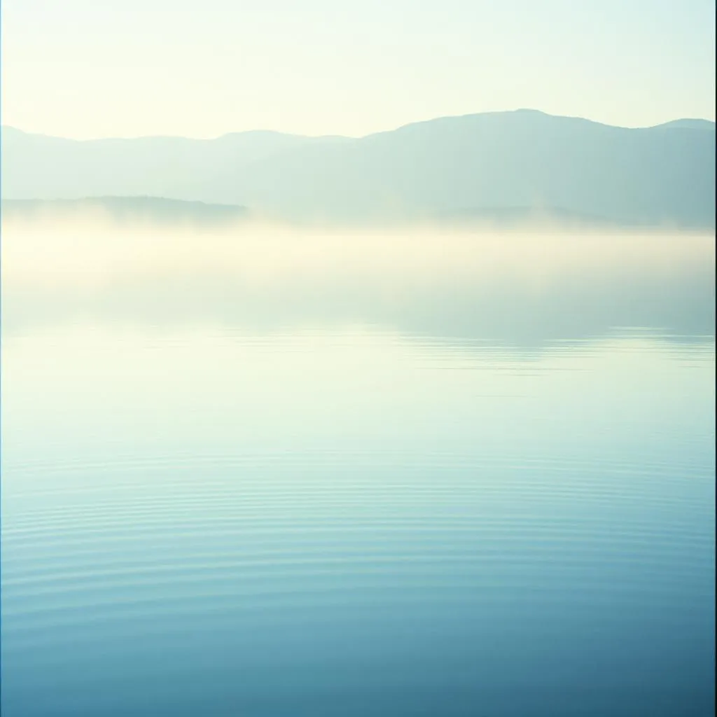 Reflections in the Water