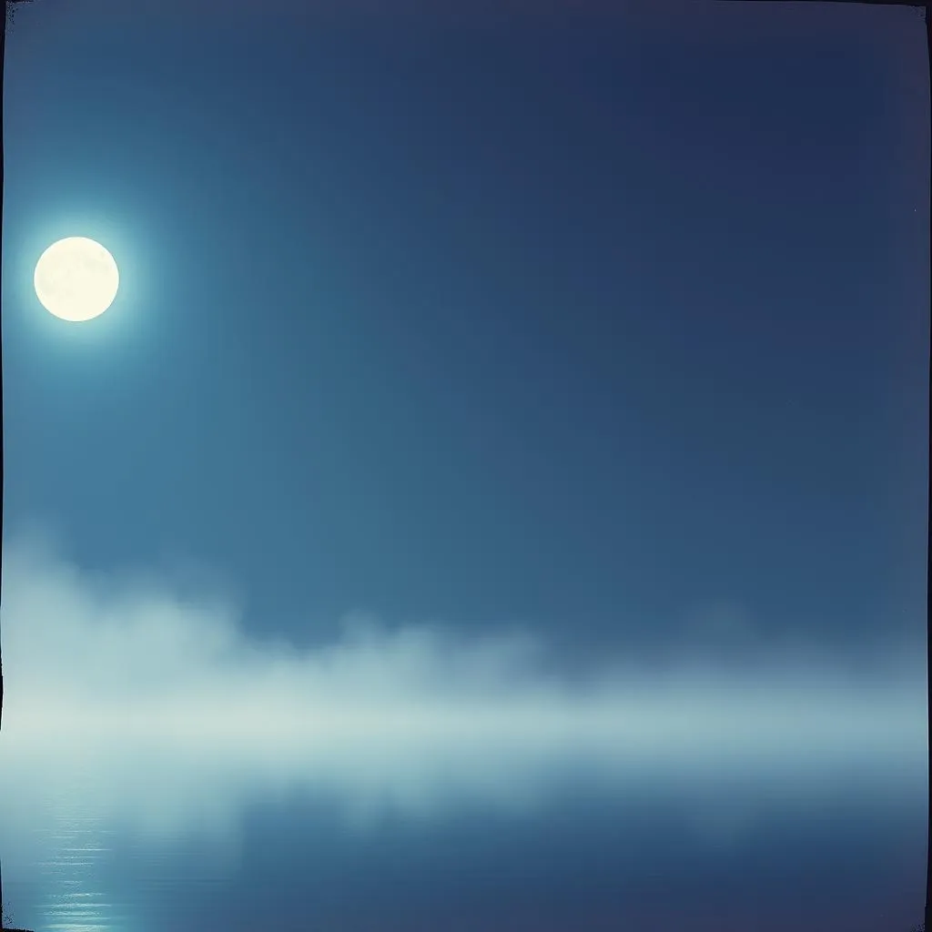 Veil OF The Night