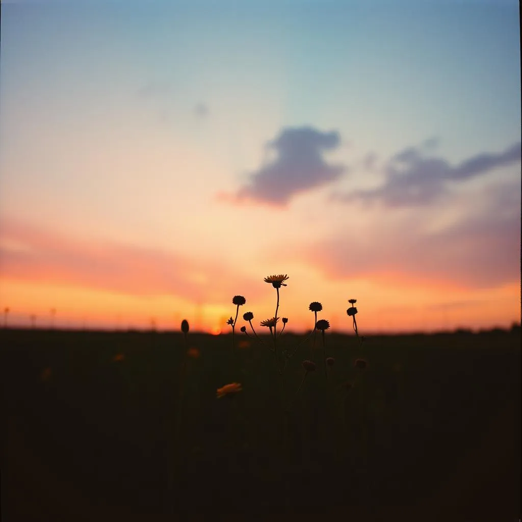 Were i belong Vol.2