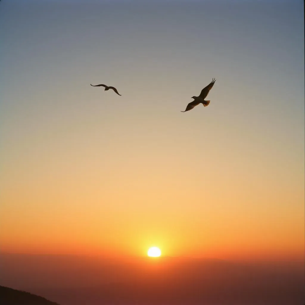 Más Allá del Sol