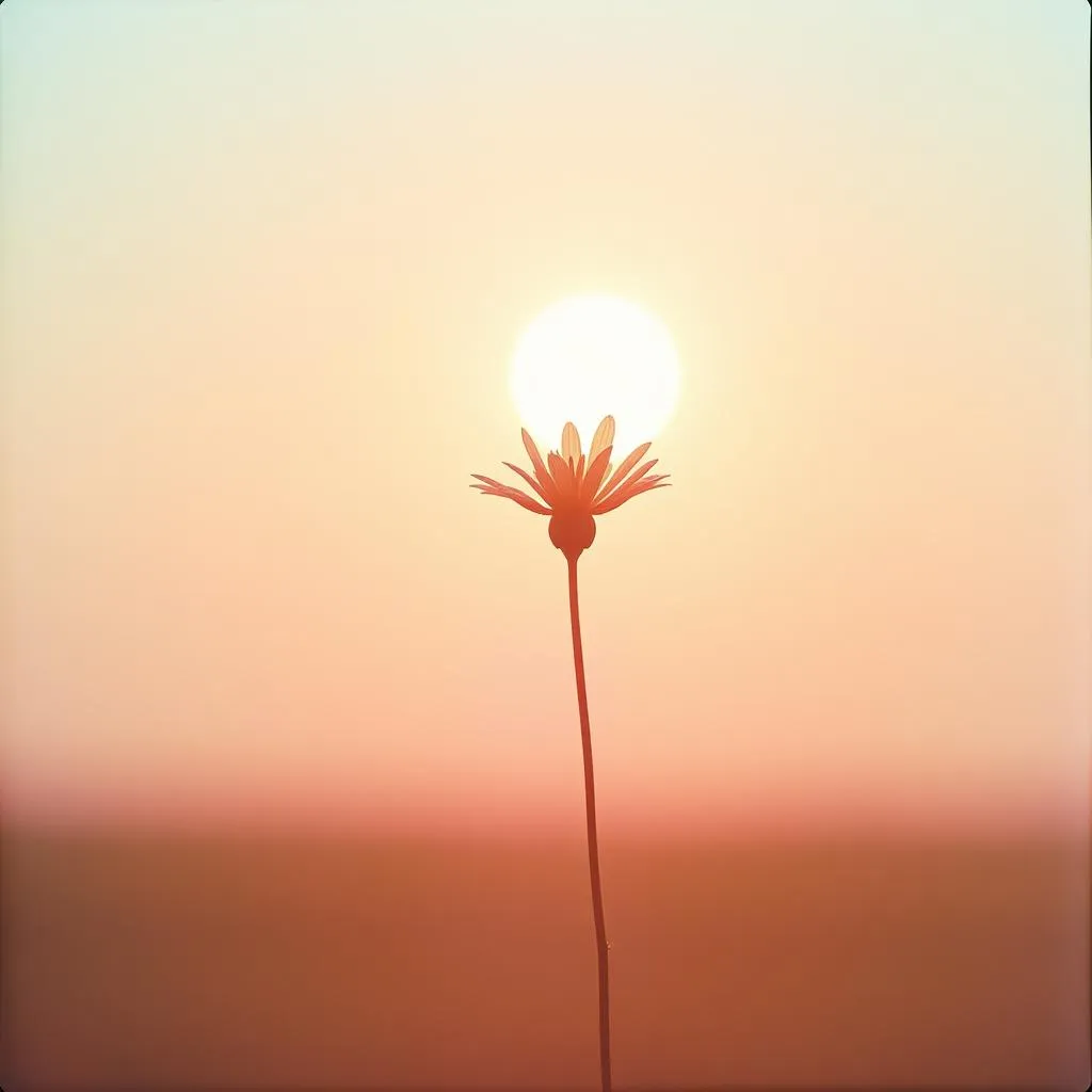 Wildflower