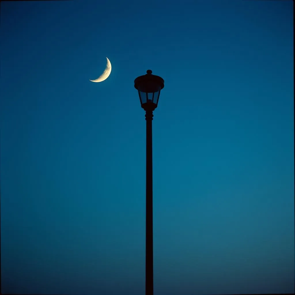 The Night Whispers Your Name