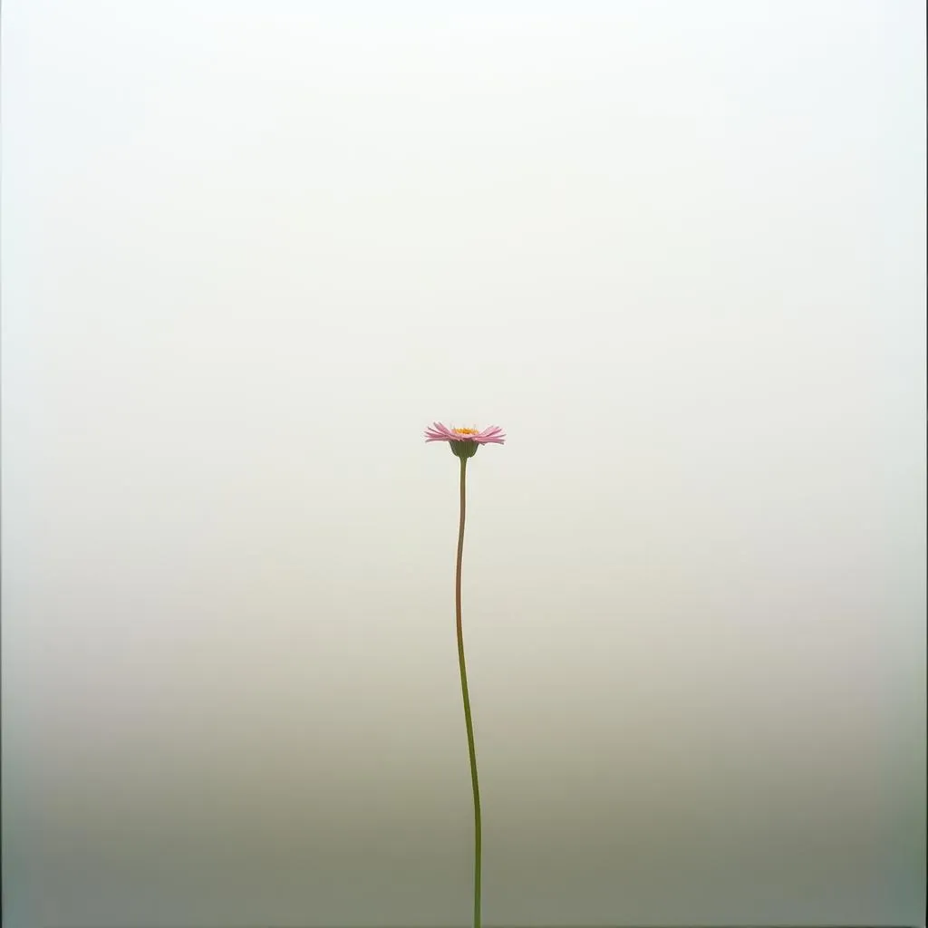 Faint Bloom