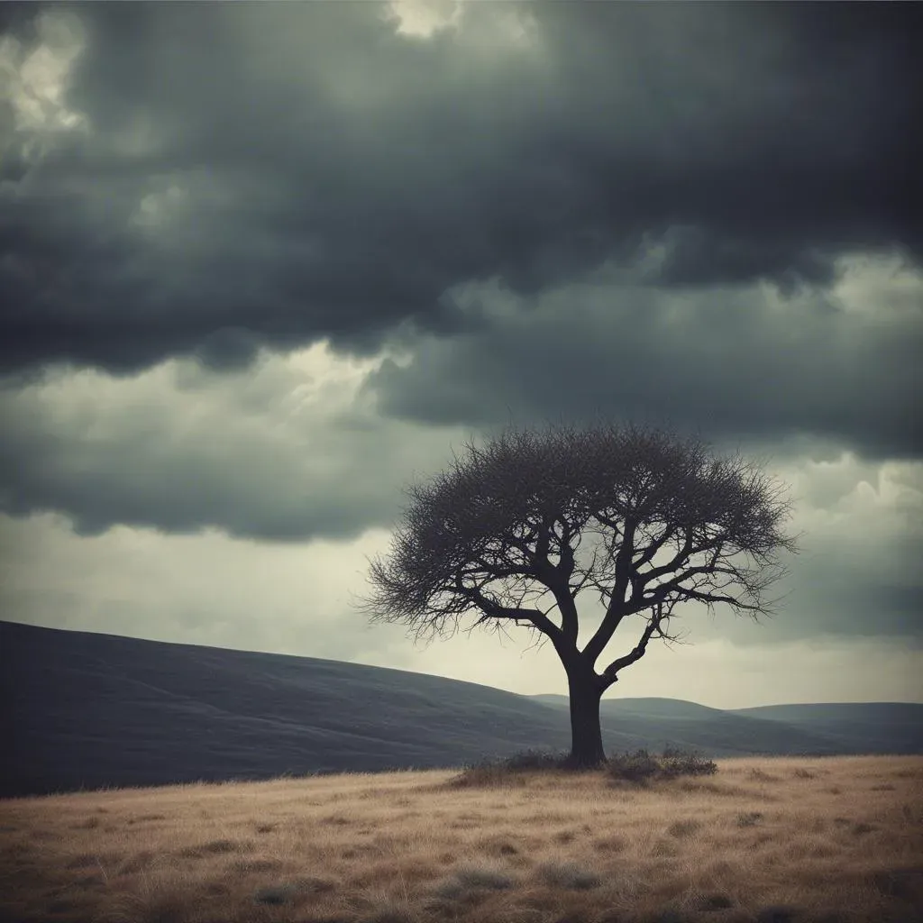 Echoes of Silence