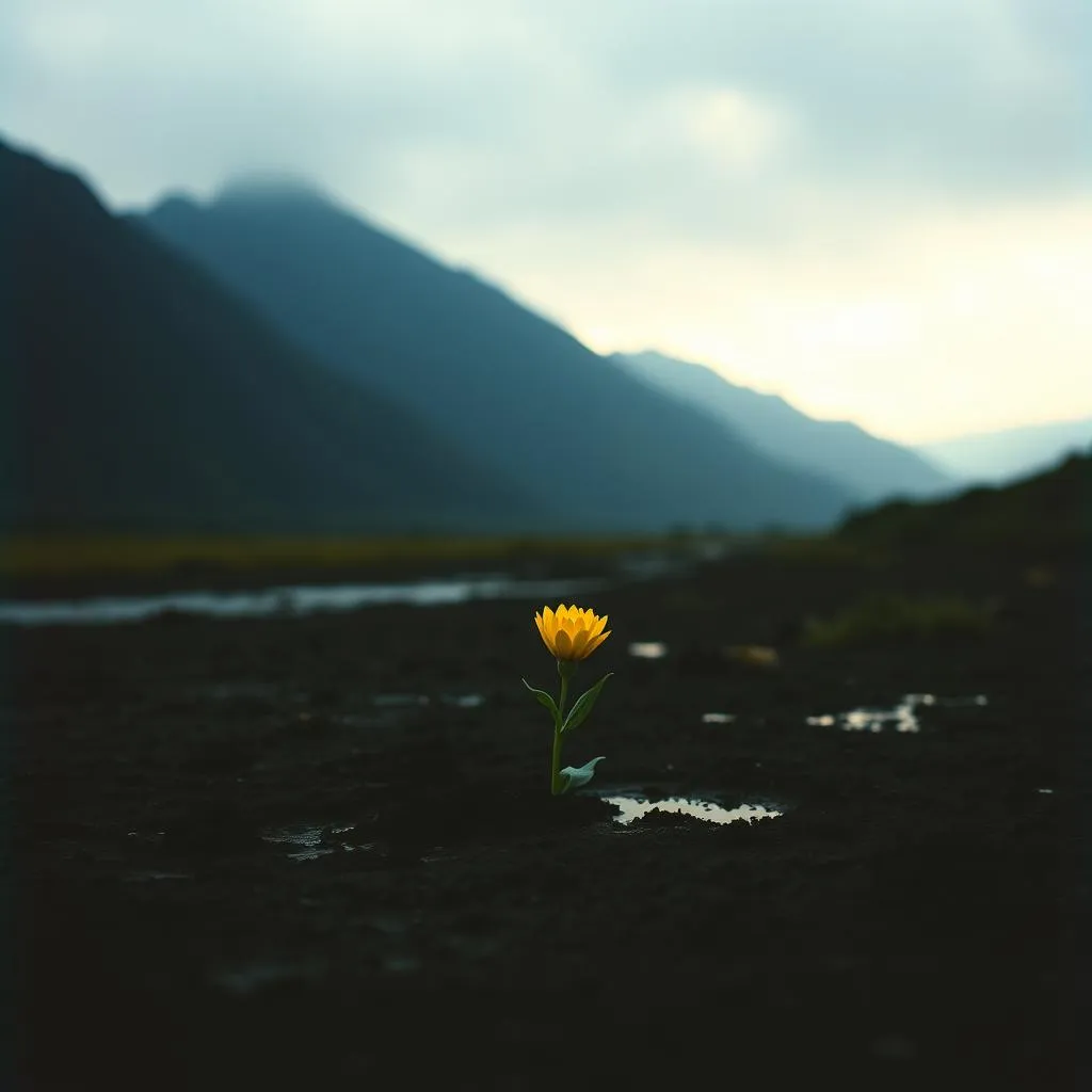 You see the flower