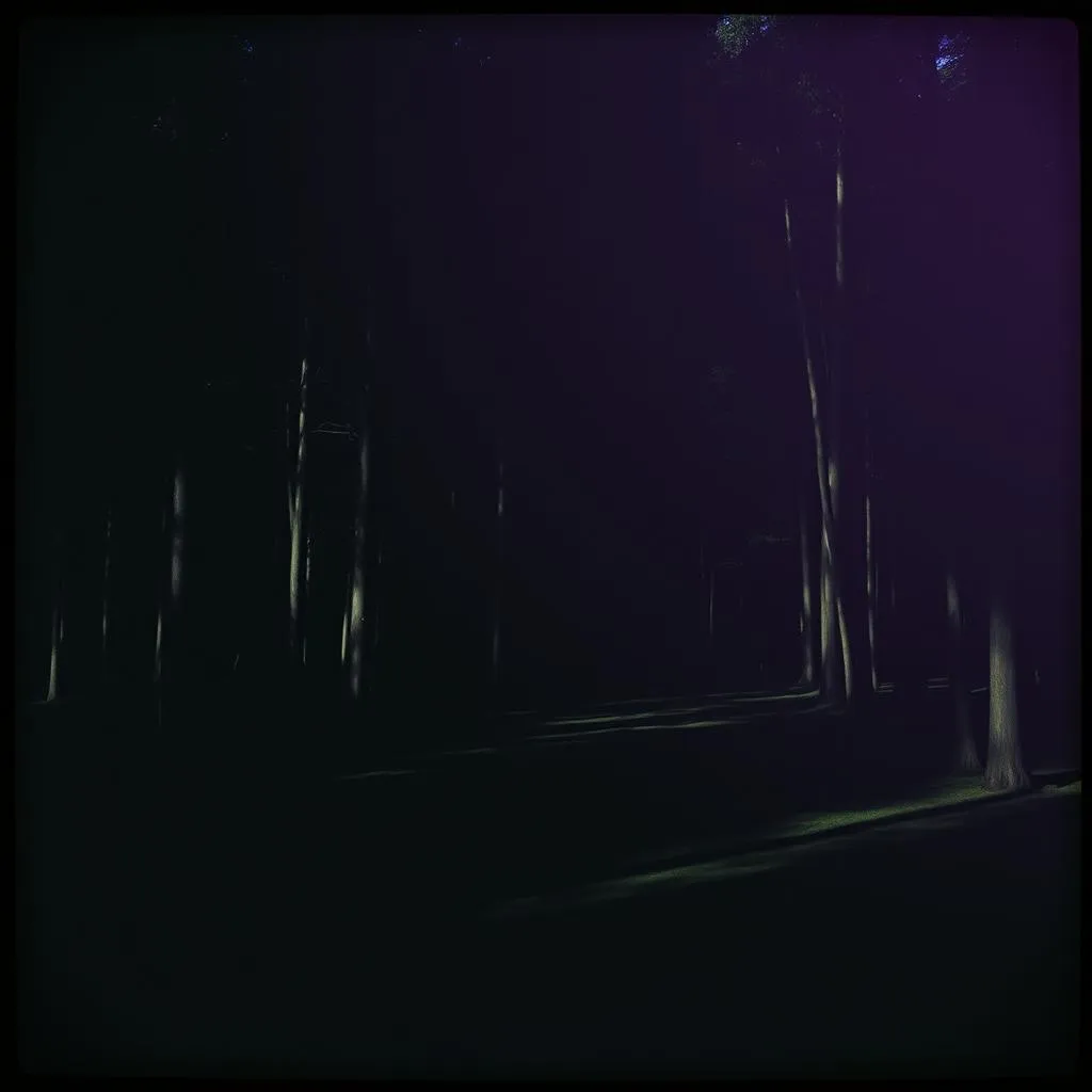 Shadows and Strangers