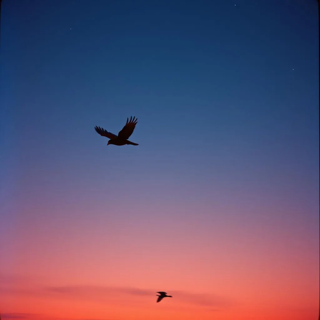 The Sparrow and the Cardinal