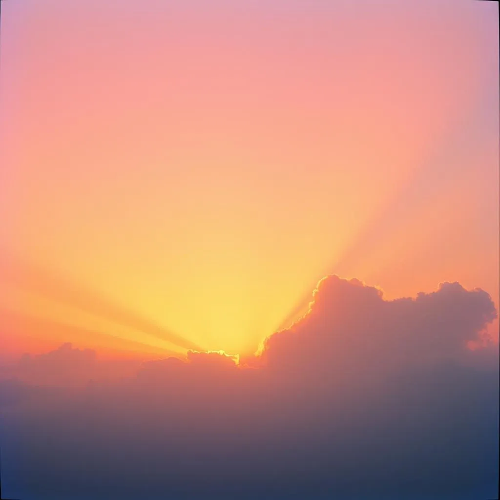 Shine Through
