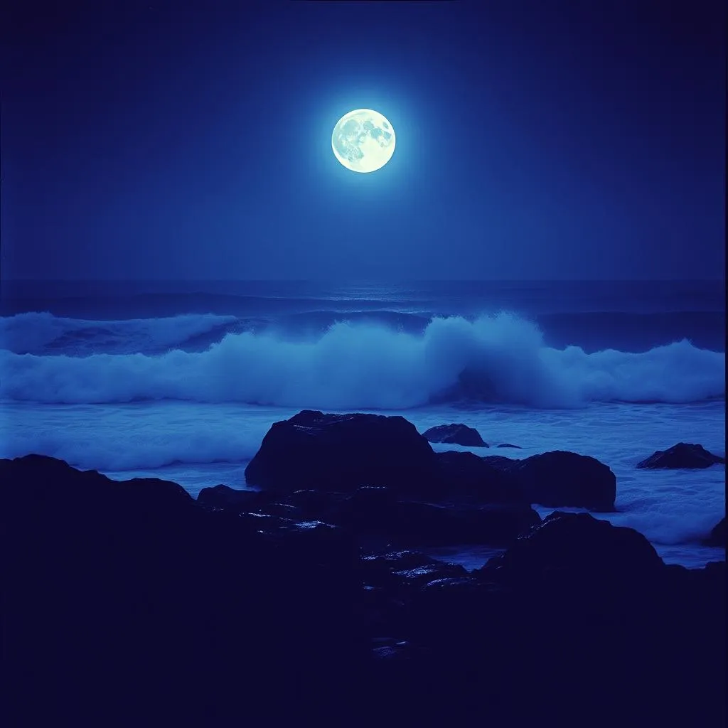 Waves