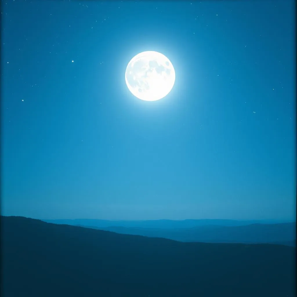 Under the Twilight Sky