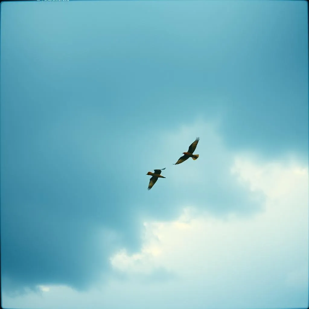 Take Us Higher
