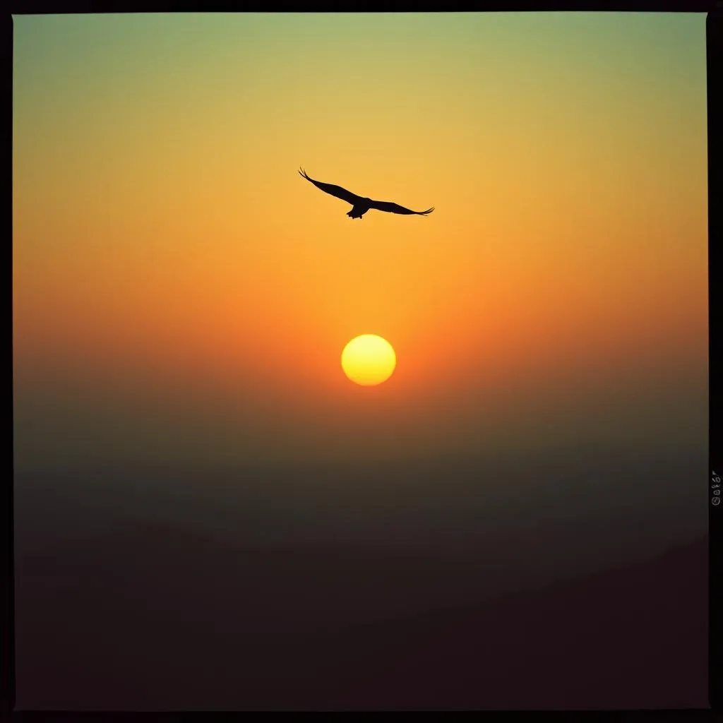 The price of being free