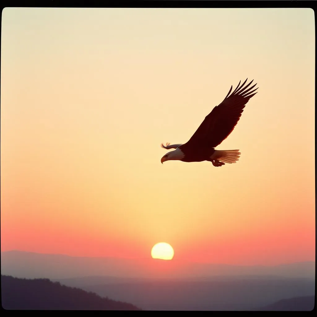 Freedom's Anthem for Earth
