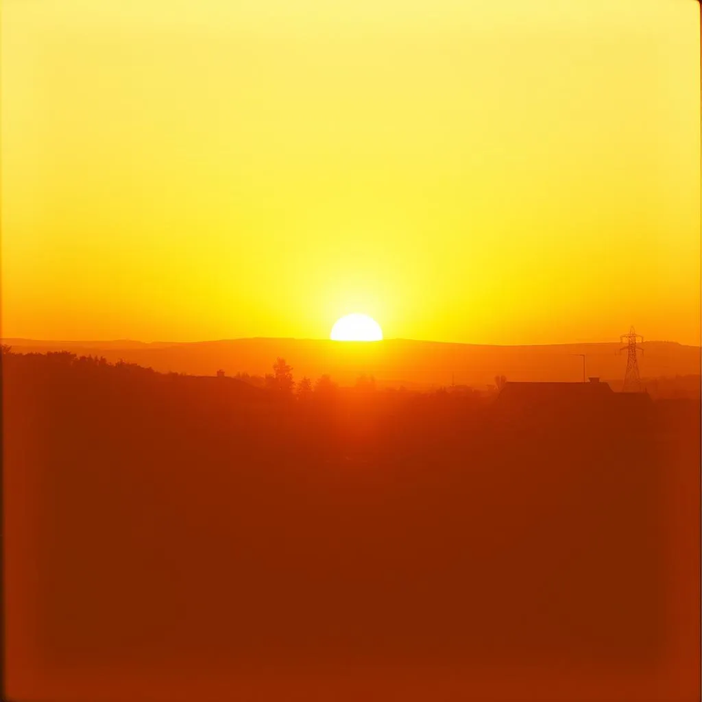 Run with the sun