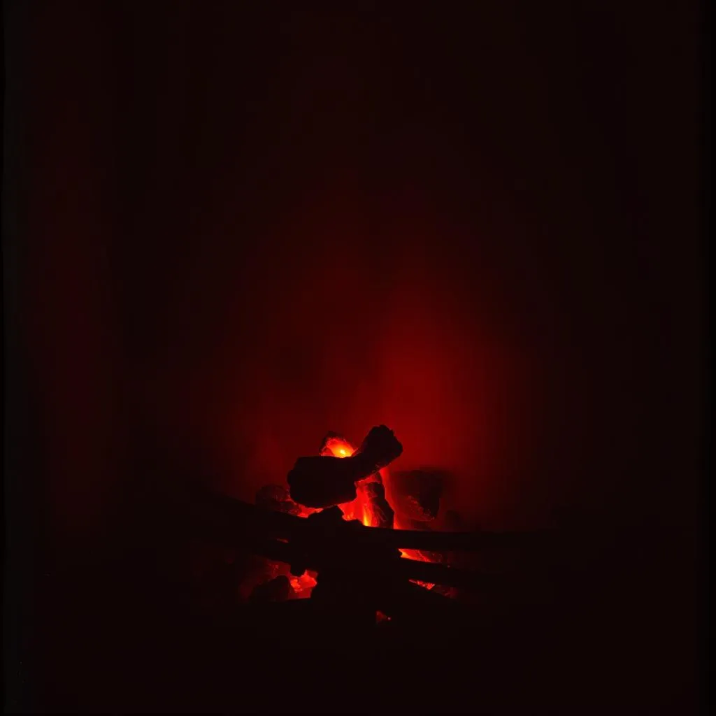 Ashes and Embers