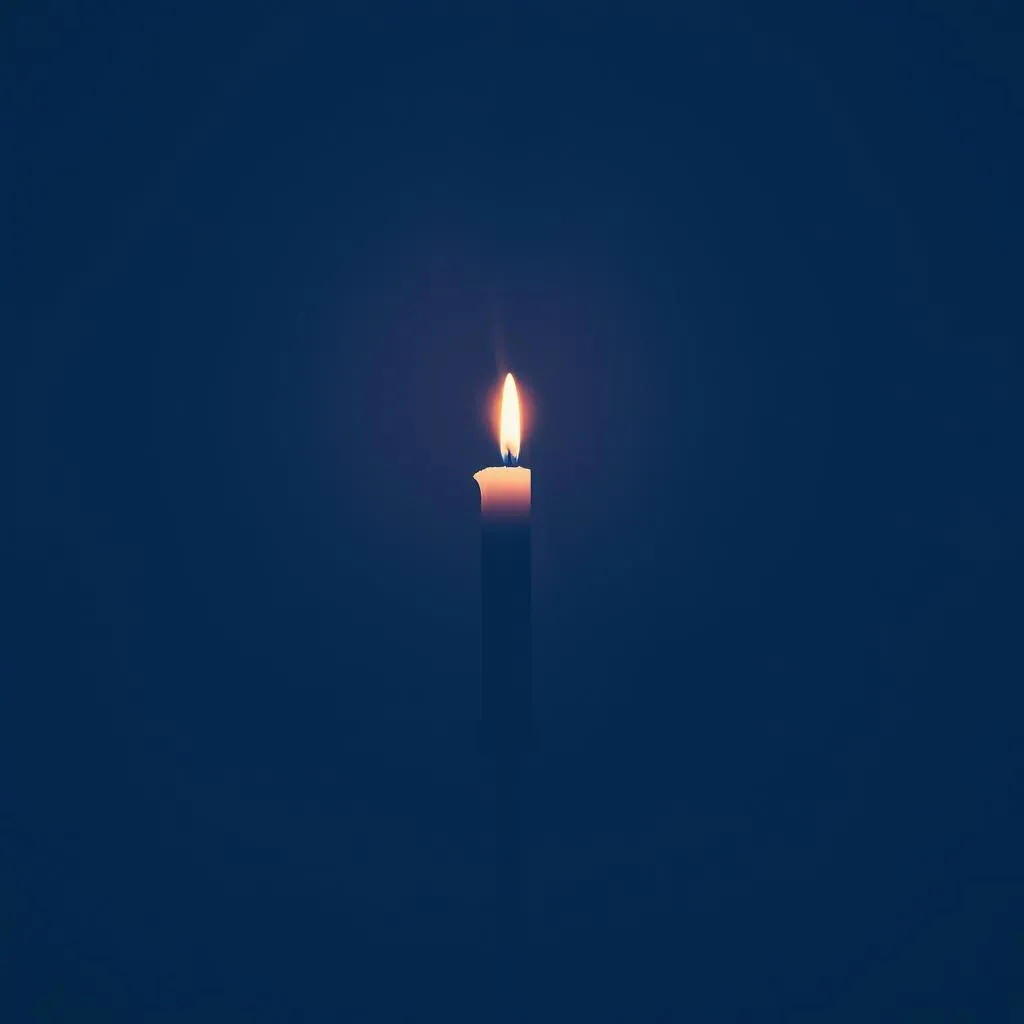 Lost in Shadows