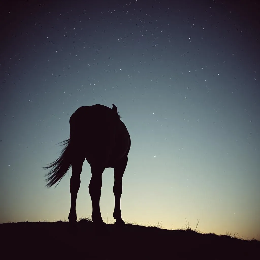 A Cowboy's Prayer