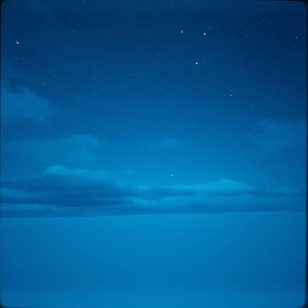 A Christmas Blu