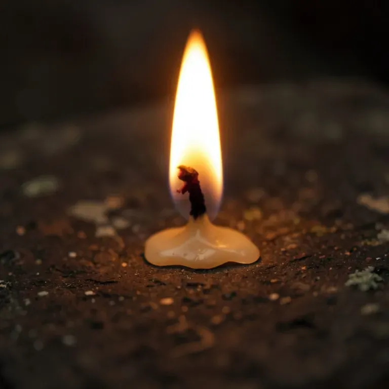 Blazing Heart